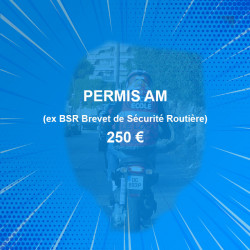PERMIS AM 250€